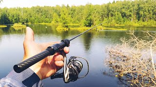 ПРИЕХАЛИ НА ВЕЛОСИПЕДЕ НА ЛЕСНОЕ ОЗЕРО Рыбалка на мормышинг в зарослях BLACK ADDER NANO CARBON [upl. by Trahern]