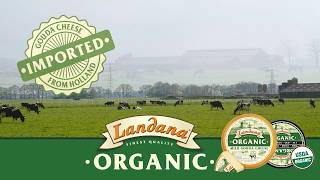 Landana Organic cheese [upl. by Euk]