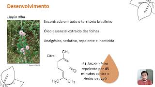 Lippia alba no controle do Aedes aegypti [upl. by Eillehs]