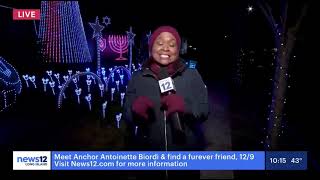 News 12  The Taylor Swift Light Show Experience for the holidays [upl. by Ateiluj]