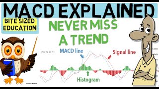 MACD INDICATOR EXPLAINED Trade with the trend [upl. by Aicirtac]