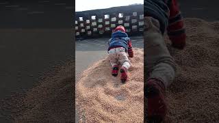 Cute baby playing on wheat heap and enjoying [upl. by Lennaj]