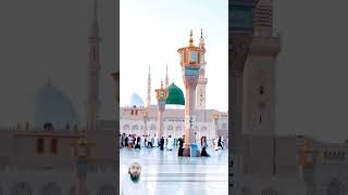 ya rasool allah main bas dekhta hi rahun aap k rozy ko shorts youtubeshorts ytshorts [upl. by Adele]