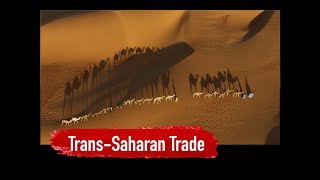 TransSaharan Trade Network [upl. by Krute]