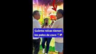 Cuánta raíces tienen los palos de coco 🌴🥥  Pregunta faciles para ser millonario 💰 [upl. by Anisamoht130]