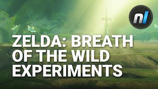 Zelda Breath of the Wild Experiments  YOUR Suggestions [upl. by Leede]