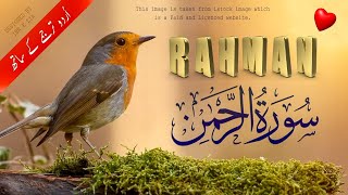 Stunning Recitation of Surah Rahman by Abdul Basit  Episode  093 [upl. by Tu]