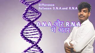 DNA और RNA में अंतर  Differences Between DNA and RNA  Wifi Book dna rna neet boardexam class [upl. by Ayenat]