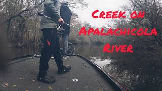 BASS FISHING APALACHICOLA RIVER DELTA 1252021 [upl. by Esahc160]