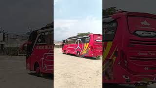 Gunung Harta Merah Bogor Jogja busmania busgunungharta bus [upl. by Nnaassilem758]