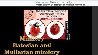 MimicryBatesian and Mullerian mimicry [upl. by Intosh276]