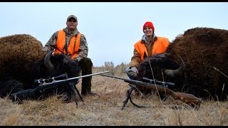 2013 Yellowstone Bison Hunt  Montana [upl. by Ahsain276]