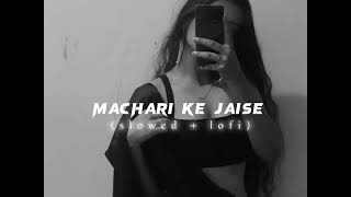 Machhari Ke Jaise SlowedReverb Lofi lofi bhojpurilofi slowed slowed thelofibhojpuri lofi [upl. by Isolde]