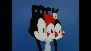 Member Animaniacs [upl. by Greerson]