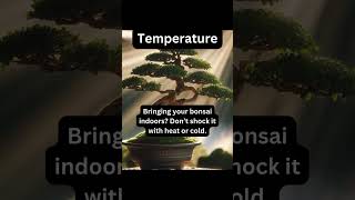 Bonsai Temperature Tip bonsai garden gardening tips howto plants [upl. by Gustafsson]