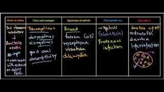 Tetracycline antibiotics [upl. by Attiuqal585]