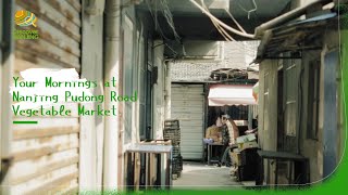 【 Nanjing Life 】Your Mornings at Nanjing Pudong Road Vegetable Market [upl. by Juna]