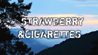 Troye Sivan  Strawberry amp Cigarettes Lyrics [upl. by Theron]