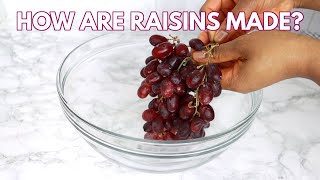 How to Make Raisins at Home  How Are Raisins Made Tips on How to Make Use amp Store Raisins at Home [upl. by Zellner]