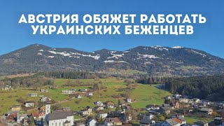 Австрия обяжет работать украинских беженцев [upl. by Gosser]