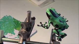 Frog sculpture  making of the poison dart frog [upl. by Aret]