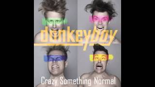 donkeyboy  Crazy Something Normal Audio [upl. by Aciret]