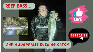 REEF BASS amp A SURPRISE EVENING CATCH BASS FISHING UK  SEAFISHING UK  SEA ANGLING UK [upl. by Oicirbaf]