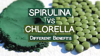 Spirulina VS Chlorella Which One Should You Take [upl. by Yllek]