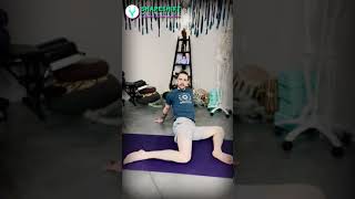 WINDSHILED WIPER HIP MOBILITY EXERCISE [upl. by Llehsal889]