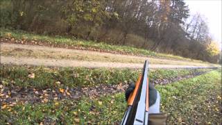 Driven hunting  Roe deer with shotgun [upl. by Noxin]