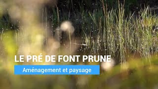 Le Pré de Font Prune  Mare pédagogique [upl. by Elin]