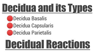 Decidua and its Types  Decidual Reactions [upl. by Hulen582]