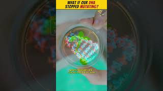 What If Our DNA Stopped Mutating 🧬💥 whatif science facts didyouknow [upl. by Hettie183]