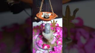 Waste Rangoli Flower Back Flow Dhoop 🌼🌸 shorts diy ytshorts craft homedecor CreativeShriya [upl. by Llevart148]