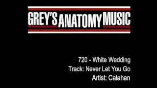 Greys Anatomy 720  Calahan  quotNever Let You Goquot [upl. by Aelrac286]