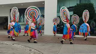 Danza de Quetzales de Atempan sin cruceta Etnocoreologia BUAP parte 2 [upl. by Grimonia256]