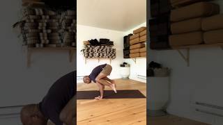 yoga yogi yogapractice yogalife yogainspiration crowpose kakasana asana skyhawk rahul [upl. by Romeo]