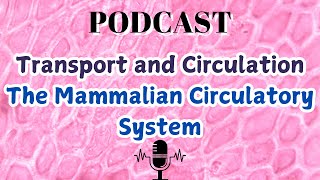 Transport and Circulation The Mammalian Circulatory System [upl. by Werra]