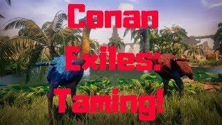 Conan Exiles Getting taming and pets [upl. by Elaynad974]