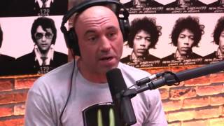 Joe Rogan on Chiropractors [upl. by Voorhis981]