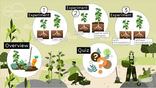 Soil salinization and plant growth DIY experiments [upl. by Ylrehc148]