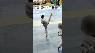 7단 심사  기본동작 태권도 고단자심사 taekwondo tkd kick kukkiwon [upl. by Tloh245]