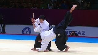 team Japan aikido demonstration  tanto [upl. by Christmann695]