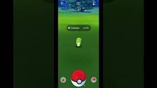 I Caught Caterpie in Pokemon Go Shorts PokemonGo Caterpie [upl. by Auqinet]