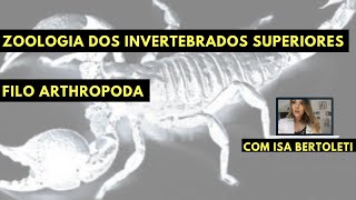 ZOOLOGIA DOS INVERTEBRADOS SUPERIORES II ARTHROPODA • BERTOBIO [upl. by Billye127]