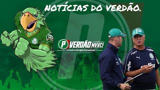 VERDÃO REALIZA TREINO TÉCNICO E TÁTICO NUMERAÇÃO OFICIAL E OS 21 JOGADORES P O PAULISTA [upl. by Camila756]