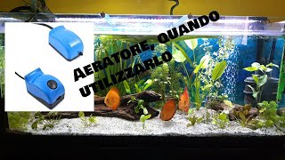 Come usare laeratore in acquario e quando non utilizzarlo [upl. by Sillyhp]