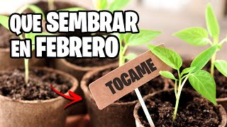 Que sembrar en FEBRERO 🌱 Calendario de Siembra 2024  La Huerta de Ivan [upl. by Eniahs]