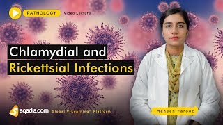 Chlamydial and Rickettsial Infections  Medical School  Pathology Lectures  VLearning [upl. by Meneau]