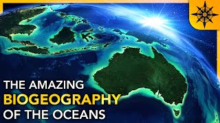 The Biogeography of the Oceans [upl. by Enylorac352]